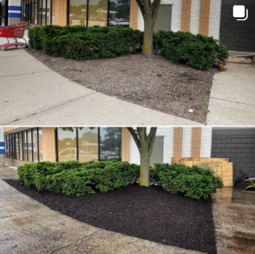 Commercial Landscaping Services - We are a full-time commercial landscaping service treating yards with care in the Schiller Park, Park Ridge, Niles, Skokie, Evanston and surrounding Chicagoland areas. Landscaping is a big business and the knowledge we bring to the table will help you enhance the curb appeal of your business as well as personal satisfaction in a job well done. Placement and knowledge of flowers, bushes, and trees are an important aspect to consider as you think about your long-term goals for your yard.
We offer a stunning array of annual flowers, trees, shrubs, perennials and much much more. Commercial Landscaping Services - We are a full-time commercial landscaping service treating yards with care in the Schiller Park, Park Ridge, Niles, Skokie, Evanston and surrounding Chicagoland areas. Landscaping is a big business and the knowledge we bring to the table will help you enhance the curb appeal of your business as well as personal satisfaction in a job well done. Placement and knowledge of flowers, bushes, and trees are an important aspect to consider as you think about your long-term goals for your yard.
We offer a stunning array of annual flowers, trees, shrubs, perennials and much much more.