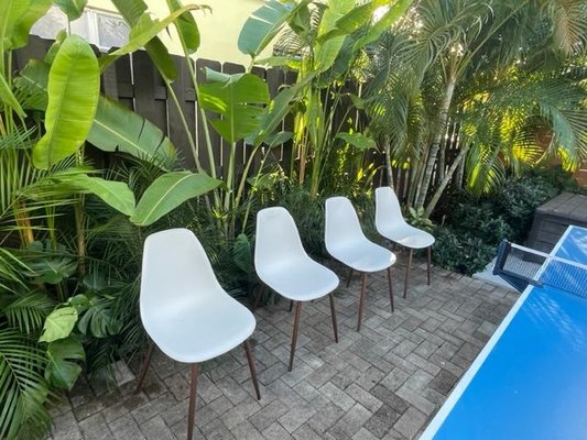 Privacy Plant Wall - A client bought a house next to an apartment building and wanted to block out the view for privacy. We planted 40 large tropical plants including several species of Bird of Paradise, Bamboo, Arecas, Podocarpus, Clusia, and several species of flowering vines and orchids to cover the fence. In the lower canopy we planted Swiss Cheese Plants, Alcoasia, and Schefflera. Privacy Plant Wall - A client bought a house next to an apartment building and wanted to block out the view for privacy. We planted 40 large tropical plants including several species of Bird of Paradise, Bamboo, Arecas, Podocarpus, Clusia, and several species of flowering vines and orchids to cover the fence. In the lower canopy we planted Swiss Cheese Plants, Alcoasia, and Schefflera.