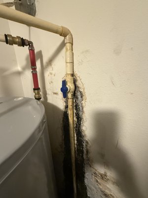 Water leak repair - This was a water leak that ruined the wall. We removed the wall. Repaired the leak. Treated the studs and reinstalled everything. Customer chose to paint walls themselves as it is in a utility closet Water leak repair - This was a water leak that ruined the wall. We removed the wall. Repaired the leak. Treated the studs and reinstalled everything. Customer chose to paint walls themselves as it is in a utility closet