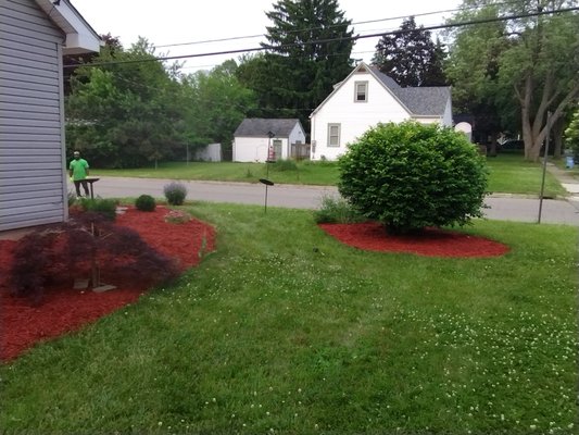 before and after mulch work - before and after mulch landscaping job before and after mulch work - before and after mulch landscaping job