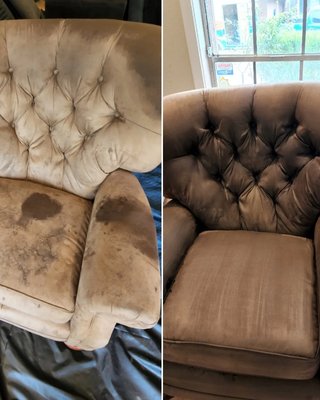 Upholstery Cleaning / Autos and RVS Cleaning - At least once a year is a good timescale, but only if there are no pets or young children in the house. If you have cats, dogs, young childr Upholstery Cleaning / Autos and RVS Cleaning - At least once a year is a good timescale, but only if there are no pets or young children in the house. If you have cats, dogs, young childr