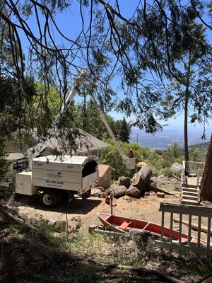 Tree Removal Projects - Tree Removals Around San Diego County