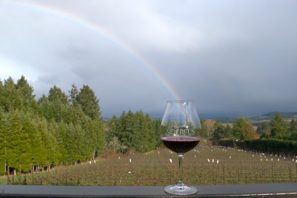 Enjoy the scenery at Sidereus Vineyard and Winery - Relax and enjoy the fresh mountain air. Enjoy the scenery at Sidereus Vineyard and Winery - Relax and enjoy the fresh mountain air.