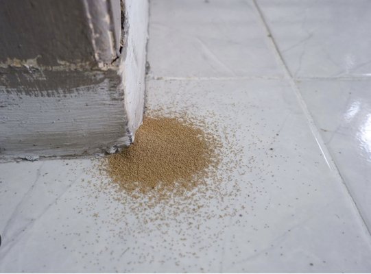 TERMITE INSPECTION - WE OFFER FREE TERMITE INSPECTIONS. TERMITE INSPECTION - WE OFFER FREE TERMITE INSPECTIONS.
