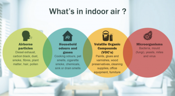 Services Offered - The air you breathe inside your home could be the most polluted air you breathe all day. In fact, the EPA has named indoor air pollution as one of the top five environmental risks to public health. With the amount of time spent indoors, it’s no wonder so many people suffer from allergies, asthma, and other illnesses. Services Offered - The air you breathe inside your home could be the most polluted air you breathe all day. In fact, the EPA has named indoor air pollution as one of the top five environmental risks to public health. With the amount of time spent indoors, it’s no wonder so many people suffer from allergies, asthma, and other illnesses.