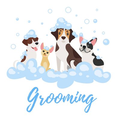 Pet Spa Days - We come to you! - Hire us for pet spa days at your apartment complex! Call (210) 284-9700 Pet Spa Days - We come to you! - Hire us for pet spa days at your apartment complex! Call (210) 284-9700