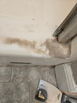 Move out cleaning - This job was a move in cleaning. the client was very impressed with the results. Move out cleaning - This job was a move in cleaning. the client was very impressed with the results.