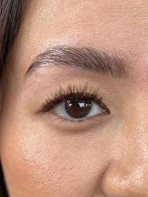 Brown Lash Extensions - Brown lashes can be requested with any lash extension set. Brown Lash Extensions - Brown lashes can be requested with any lash extension set.