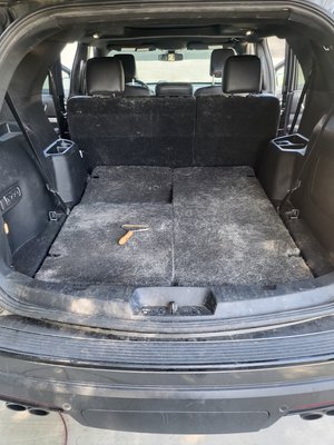 deep cleaning - A lot of my returning customer are people with pets, I've learned that people's pets are an extension of their family.