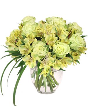 Sympothy Ideas - When you order funeral flowers from Fleur D Amour, our skilled and compassionate florist will work directly with the funeral home to ensure that your delivery is timely and accurate. Same-day delivery is often available, please call (704) 274-5525 for a more customized experience.