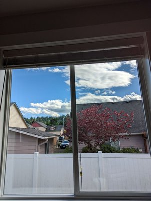 Recent Windows Cleaned - Here's some recent windows that we cleaned.