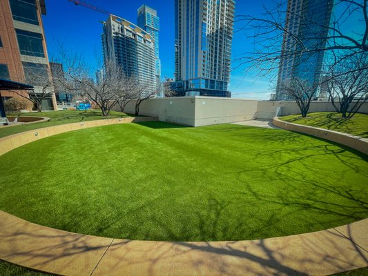 Whole Foods Downtown Austin Rooftop - Smart Turf artificial grass was installed on the rooftop patio at Whole Foods downtown Austin. Whole Foods Downtown Austin Rooftop - Smart Turf artificial grass was installed on the rooftop patio at Whole Foods downtown Austin.