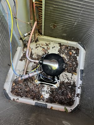 Compressor Replacement - Compressor Replacement Compressor Replacement - Compressor Replacement