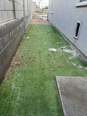 Before > After - Backyard dog run cleaning before and after. Before > After - Backyard dog run cleaning before and after.