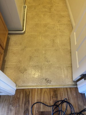 Move-Out Service - This was a move-out service on a 3466 sq ft home in Las Vegas. The client had cats and cat hair. Our cleaning technicians did a terrific job. We completed this clean in five hours. Our client was very happy with our service and the Yelp discount that we were able to provide. Move-Out Service - This was a move-out service on a 3466 sq ft home in Las Vegas. The client had cats and cat hair. Our cleaning technicians did a terrific job. We completed this clean in five hours. Our client was very happy with our service and the Yelp discount that we were able to provide.