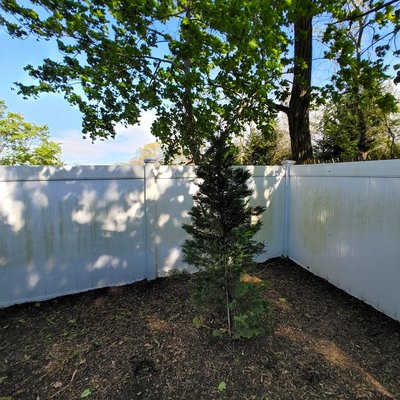 lake grove. new york power wash - lake grove new york moss on fence with lots of algae and pollen build up pressure washed the fence and shocked it to a nice clean vinyl fence.