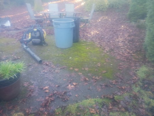 Vancouver Washington - house clean up service in Vancouver WA Vancouver Washington - house clean up service in Vancouver WA