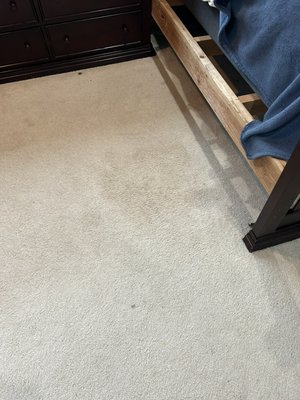 Pet stain and odor removal - Customer had a large dog that urinated on the carpet, leaving a strong odor. We inspected the stain and treated with a powerful odor treatment that works deep into the carpet.  We extracted the stain and deep cleaned the entire room, getting excellent results.  No more stain. No more urine smell.  Dried quickly and left very clean.