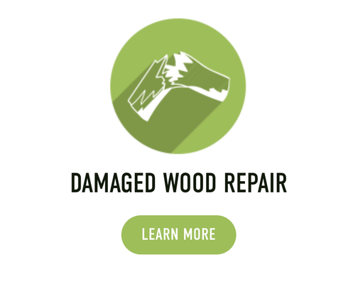 Damaged Wood Repair - DAMAGED WOOD REPAIR

Termite infestations typically remain untreated until major damage becomes obvious. Homes in the state of California are primarily constructed of wood, however, wooden framed homes are not the only structures threatened by termite activity. Homes made from other materials can host termite infestations, as these insects are capable of traveling through plaster, metal siding, drywall, & more. After termites break through, they feed on floors, ceilings and furniture within the home. The average colony can eat about a foot of 2x4 in six months, but certain species of termite can tear through homes at a much faster pace. Majority of the damages termites cause is not covered by standard homeowner insurance policies, leaving you to pick up the pieces.

Conversely, termites are not the only threat your home may possess. Decay of wood in structures is a problem in moist, humid areas as they form the necessary growth for wood destroying fungi, surface molds, & dry rot in regions of the U.S. such as in the Los Angeles & Ventura County. As most wood decaying fungi grows only on wood subject to wetting by contact with moist soil, rain, or faulty plumbing. Only by eliminating the moisture source can wood decay be completely controlled. Hence the importance of having a knowledgeable Bad Termite PMP inspect, asses, & act to resolve any structural damaging complications your home may face.

Although moderate levels of termite damage can be repaired, measures should always be taken first to ensure that the termite infestation & wood rotting fungi has been fully exterminated and that your home is protected against future infestations/infections. Taking these steps will prevent costly repairs in the future. After your termites have been eliminated from the structure, the damaged wood members will need to be restored to ensure your safety.

Bad Termite offers full wood repair services for any termite treatments or fumigations we perform. We specialize in structural construction and repair. Our team of wood repair specialists may tackle any structural damaged wood repairs as well as restore decorative elements around your home like pergolas, trellises or decks. After the construction has been completed, our wood repair team will focus on restoring damaged stucco and painting the exposed surfaces to make your home look as new. Bad Termite is licensed, bonded and insured. Contact Bad Termite toll free 1-800-593-4092 to get your termite inspection & estimate today.