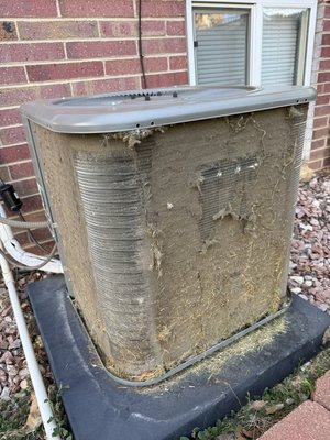 Outdoor AC Unit Cleaning - AC Condenser Cleaning

Keep your air conditioning system running efficiently with our professional AC condenser cleaning service. We remove dirt, debris, leaves, and buildup from the outdoor unit and clean the condenser coils to improve airflow and cooling performance. Regular condenser cleaning can help reduce energy costs, improve system efficiency, and extend the life of your AC equipment.

Service includes:

* Outdoor condenser unit cleaning
* Condenser coil cleaning and rinse
* Removal of leaves and debris
* Minor fin straightening when accessible
* Visual inspection of the unit
* Before and after photos

Service does not include repairs, refrigerant charging, or HVAC diagnostics.