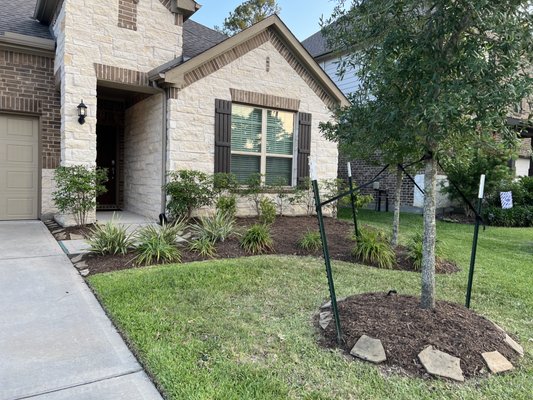 Garden Clean up and mulch Installation - Garden Clean up and mulch installation
