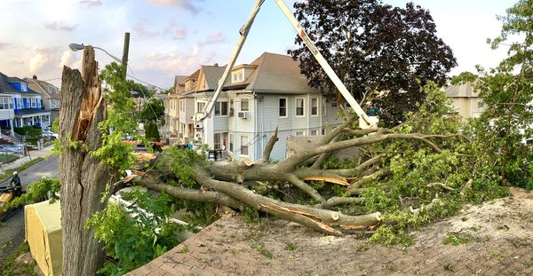 Emergency Tree Removal/Service - Unfortunately, emergency situations can occur any time of the year in New Jersey. In these situations, you need a tree removal & cutting company you can rely on to act fast and clear the area; whether it be a residential, commercial or town emergency. Our team of trained and experienced tree removal professionals have worked with various municipalities in New Jersey and safely serviced many areas during natural disasters.
When you are experiencing a natural disaster such as a wind storm, blizzard, or hurricane and you have fallen trees, limbs, branches, or debris, it is important to call an emergency tree service company in New Jersey like J & L Budget Tree Service. We have the knowledge and training needed to safely remove trees that may be blocking pathways or power lines. Falling trees and branches can cause serious damage, and even death, if they are not removed quickly. Let us help you limit the amount of damage that occurs.
J & L Budget Tree Service is ready to safely take on any dangerous situation. Our experienced and skilled tree removal technicians will be able to get on the scene quickly and do an excellent job at keeping you, your home, or firm safe when faced with this type of emergency.
****Estimates based on Size of Tree and condition****
Call us today for a free estimate. Emergencies happen suddenly - don't wait till it's too late! Emergency Tree Removal/Service - Unfortunately, emergency situations can occur any time of the year in New Jersey. In these situations, you need a tree removal & cutting company you can rely on to act fast and clear the area; whether it be a residential, commercial or town emergency. Our team of trained and experienced tree removal professionals have worked with various municipalities in New Jersey and safely serviced many areas during natural disasters.
When you are experiencing a natural disaster such as a wind storm, blizzard, or hurricane and you have fallen trees, limbs, branches, or debris, it is important to call an emergency tree service company in New Jersey like J & L Budget Tree Service. We have the knowledge and training needed to safely remove trees that may be blocking pathways or power lines. Falling trees and branches can cause serious damage, and even death, if they are not removed quickly. Let us help you limit the amount of damage that occurs.
J & L Budget Tree Service is ready to safely take on any dangerous situation. Our experienced and skilled tree removal technicians will be able to get on the scene quickly and do an excellent job at keeping you, your home, or firm safe when faced with this type of emergency.
****Estimates based on Size of Tree and condition****
Call us today for a free estimate. Emergencies happen suddenly - don't wait till it's too late!