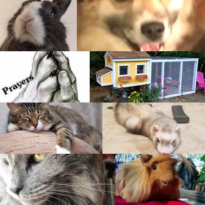 HOUSE SITTING - When three visits to your home isn’t enough or your pets are unable to travel with you or to us for boarding. We’ll come to your home and stay overnight. Guaranteed 10 hours of human time. We include a mid day visit each day if desired. We do all the things we include in our pet sitting service, only we add the overnights at your home on top of it.