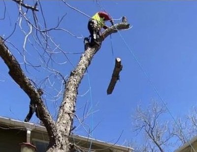 Emergency Tree Removal Services - Emergency Tree Removal Services