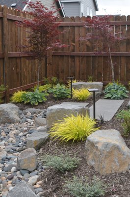 A Modern Asian Backyard in Vancouver - Transforming the blank canvas of a basic builder's backyard into a captivating retreat, we turned a grass-dominated space into an effortlessly elegant low-maintenance haven with a distinct Asian flair. At the heart of this metamorphosis is the expanded patio and walkway, featuring offset architectural pavers that not only captivate the eye but also contribute to a dynamic sense of flow throughout the elongated backyard.
A key focal point is the thoughtfully designed rain garden, adorned with strategically placed boulders that manages stormwater runoff in an aesthetically pleasing way.
The carefully curated plant palette plays a pivotal role in achieving the desired aesthetic. The deliberate choice of low grasses and foliage-forward perennials, coupled with the inclusion of small evergreen plants and vibrant Japanese maples, creates a harmonious blend of colors, shapes, and sizes. This contrasting arrangement not only ensures visual interest year-round but also infuses the space with a timeless allure inspired by Asian design principles.
The result is a backyard oasis that transcends the ordinary, offering a serene escape with minimal upkeep requirements. The strategic combination of hardscape elements, lush greenery, and carefully selected plants transforms this space into a sanctuary where the beauty of nature meets the sophistication of thoughtful design. A Modern Asian Backyard in Vancouver - Transforming the blank canvas of a basic builder's backyard into a captivating retreat, we turned a grass-dominated space into an effortlessly elegant low-maintenance haven with a distinct Asian flair. At the heart of this metamorphosis is the expanded patio and walkway, featuring offset architectural pavers that not only captivate the eye but also contribute to a dynamic sense of flow throughout the elongated backyard.
A key focal point is the thoughtfully designed rain garden, adorned with strategically placed boulders that manages stormwater runoff in an aesthetically pleasing way.
The carefully curated plant palette plays a pivotal role in achieving the desired aesthetic. The deliberate choice of low grasses and foliage-forward perennials, coupled with the inclusion of small evergreen plants and vibrant Japanese maples, creates a harmonious blend of colors, shapes, and sizes. This contrasting arrangement not only ensures visual interest year-round but also infuses the space with a timeless allure inspired by Asian design principles.
The result is a backyard oasis that transcends the ordinary, offering a serene escape with minimal upkeep requirements. The strategic combination of hardscape elements, lush greenery, and carefully selected plants transforms this space into a sanctuary where the beauty of nature meets the sophistication of thoughtful design.