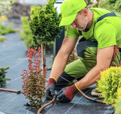 Landscaping jobs - Landscaping jobs and the process we take to make sure we reach quick and satisfying results. We strive for perfection and making sure we build a lasting impact on your home. Landscaping jobs - Landscaping jobs and the process we take to make sure we reach quick and satisfying results. We strive for perfection and making sure we build a lasting impact on your home.