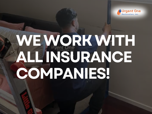 We Work With All Insurance Companies! - Navigating insurance claims can be stressful — we make it easy. Our experienced team works directly with your insurance provider to handle all the paperwork, approvals, and communications, ensuring a smooth and hassle-free process. We Work With All Insurance Companies! - Navigating insurance claims can be stressful — we make it easy. Our experienced team works directly with your insurance provider to handle all the paperwork, approvals, and communications, ensuring a smooth and hassle-free process.