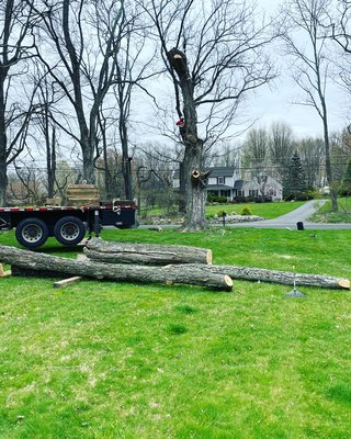 Tree Removal - We love what we do. Locally and owned operated! We guarantee 100% customers satisfaction! Call us for a free estimate