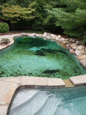 Pool cleaning - A couple of examples of before and after cleaning Pool cleaning - A couple of examples of before and after cleaning