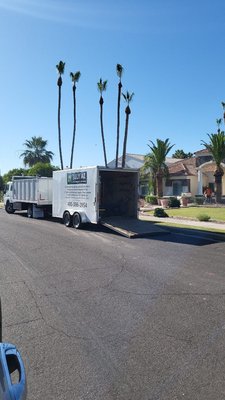 Palm tree trimming - Palm tree trimming Palm tree trimming - Palm tree trimming
