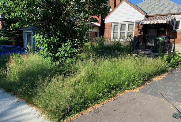 Complete Front Yard Restoration - When this homeowner reached out to us, they were honestly a bit embarrassed about how overgrown their front yard had gotten. Life happens and after more than a year of putting off yard work, the weeds had completely taken over. They told us their kids couldn't even play outside safely anymore.

We knocked it out in a single day. Cleared all the tall weeds and overgrown grass, hauled away the debris, and brought their lawn back to life. You can see the dramatic difference in these before and after photos!

Now their kids have a safe place to play, and the family actually enjoys coming home again. Sometimes all it takes is one good day of work to completely change how you feel about your property.
