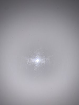 Paint Correction - 2006 Mustang Deluxe paint correction.