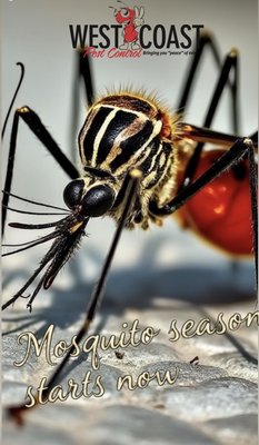 Mosquito systems - Visit our website to see about the In 2 Care mosquito systems to protect your yard. Take back you yard. Mosquito systems - Visit our website to see about the In 2 Care mosquito systems to protect your yard. Take back you yard.