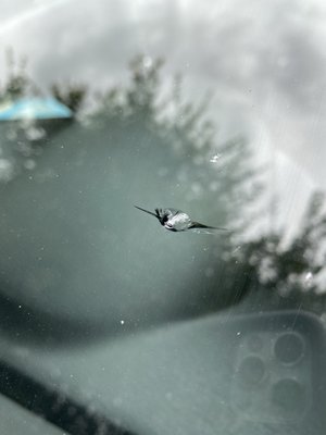 AutoGlass Replacements & Repairs. - We offer a wide variety of glass replacements & repairs on all types & year make models.