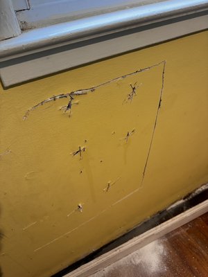 Wasp nest removal from the interior. - This was your typical case of wasps flying in and out of a small opening at the bottom of a window. Treating the area with dust from the outside would not have reached the nest, because the nest was 16 layers long. Using amplified sound equipment, I was able to pinpoint the exact location of the nest inside the wall. I carefully opened the sheetrock, destroyed the wasps, and completely removed the nest from the structure. The job required precision, safety, and advanced techniques to ensure the infestation was fully eliminated.