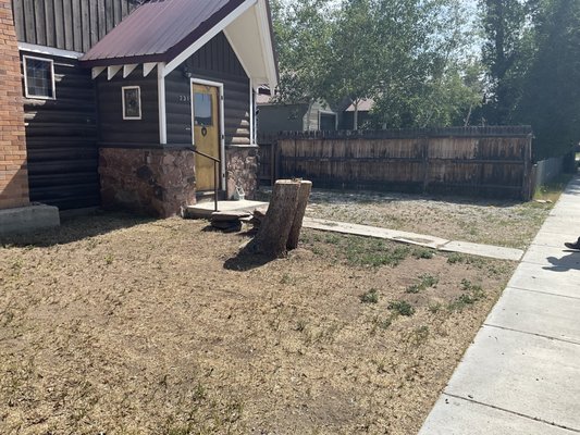 Stump grinding #1 - local job in Pinedale client wanted the stumps removed. Started by cutting them down just above ground level then ground them out. Stump grinding #1 - local job in Pinedale client wanted the stumps removed. Started by cutting them down just above ground level then ground them out.