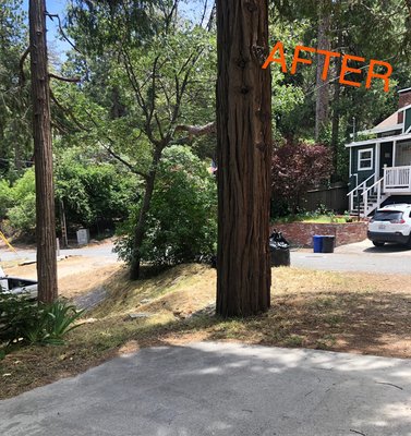 Weed Abatement - Weed abatement, bag and haul Weed Abatement - Weed abatement, bag and haul