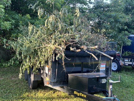 Yard waste Storm clean up - Yard waste storm clean up Yard waste Storm clean up - Yard waste storm clean up