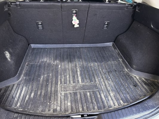 Hair clean up - We did this job on a minivan that was covered in hair, got the job done made it look new and made the client happy!