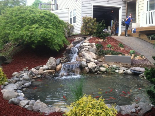 Pond and Stream in Trumbull, CT - TJB-INC was hired to design and build a water feature to drown out the sounds from the roadway. Fish were a must so we built an upper wetlands area to be planted with aquatic plants to naturally filter the water. Pond and Stream in Trumbull, CT - TJB-INC was hired to design and build a water feature to drown out the sounds from the roadway. Fish were a must so we built an upper wetlands area to be planted with aquatic plants to naturally filter the water.