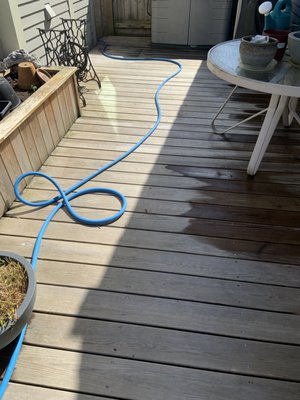 Wooden Deck Cleaning - Deck cleaning for a client concerned about how the algae could cause slip hazard during winter
