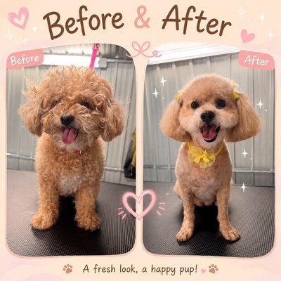 ✂️ Fluff to Fabulous - Every dog deserves to look and feel their best. ✂️ Fluff to Fabulous - Every dog deserves to look and feel their best.