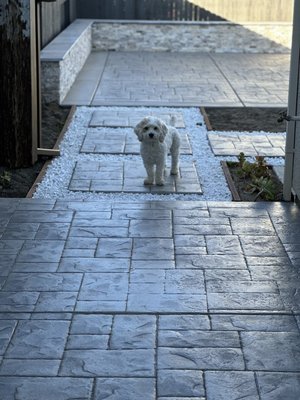 Stamped concrete and walls. - Customer bought a new home with no landscaping on backyard. Installed concrete and lawn on the backyard. Stained the fence to last many years. Added extra parking space in the front and new path to front entrance with steps and lights. Stamped concrete and walls. - Customer bought a new home with no landscaping on backyard. Installed concrete and lawn on the backyard. Stained the fence to last many years. Added extra parking space in the front and new path to front entrance with steps and lights.
