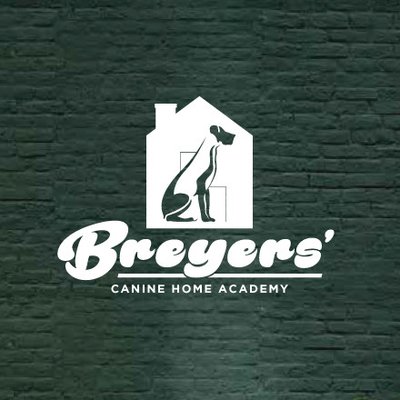 Private Dog 🐶 Training Designed Around You - Our one-on-one, in-person dog training in the Dallas area gives you the confidence to make a well-behaved dog into a reality.
Tailor-made dog training in your home ✅
Lessons designed around the owner ✅
Customizable for any dog breed or age ✅
Dog trainer with 20 years of expertise ✅
More support through video recaps ✅
Go Online or Call Today to Check Availability! Private Dog 🐶 Training Designed Around You - Our one-on-one, in-person dog training in the Dallas area gives you the confidence to make a well-behaved dog into a reality.
Tailor-made dog training in your home ✅
Lessons designed around the owner ✅
Customizable for any dog breed or age ✅
Dog trainer with 20 years of expertise ✅
More support through video recaps ✅
Go Online or Call Today to Check Availability!