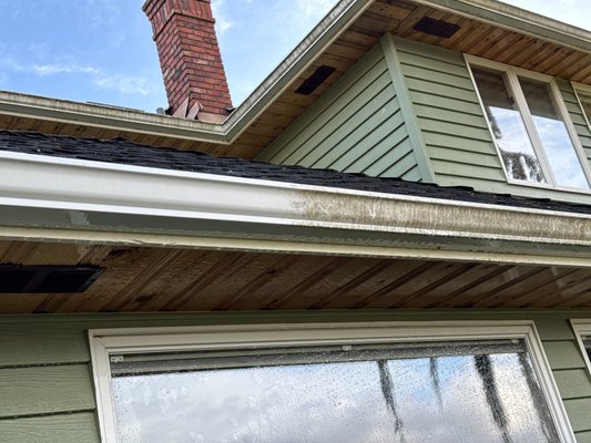 Gutter Face Cleaning - Rinse down the exterior of gutters with a hose, wash with soft brushes and eco friendly detergent (Seattle pump), and rinse all detergent and debris. Whitens and cleans the exterior of gutters and downspouts. Gutter Face Cleaning - Rinse down the exterior of gutters with a hose, wash with soft brushes and eco friendly detergent (Seattle pump), and rinse all detergent and debris. Whitens and cleans the exterior of gutters and downspouts.