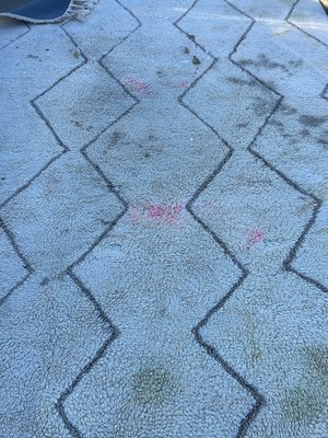 stain removing - this rug was not cleaned for long time and had a lot of dog pee after deep cleaning rug looks much better stain removing - this rug was not cleaned for long time and had a lot of dog pee after deep cleaning rug looks much better